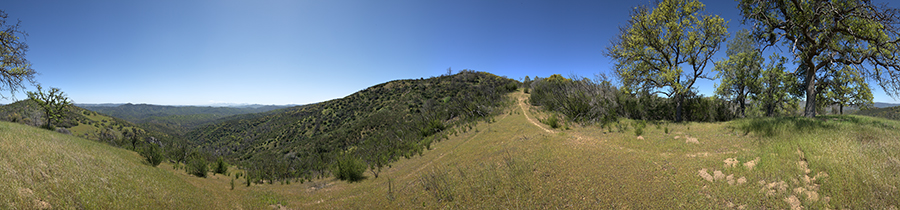 Near the top of Hartman Trail