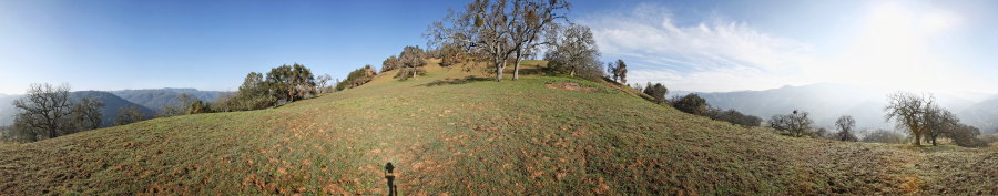 Oak Grassland Near Jackass Trail