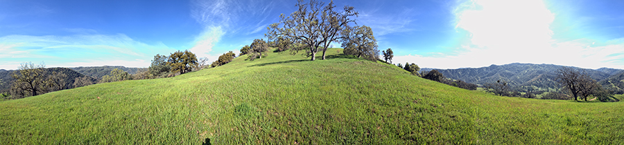 Oak grassland near the bottom of Jackass Trail (Site 2)