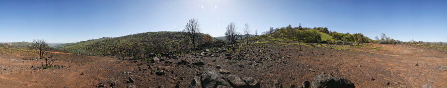 Burned Chaparral Area On Pacheco Ridge