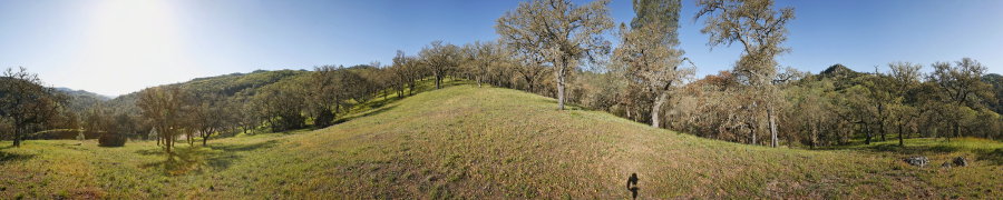 Blue Oak Grassland Near Scherrer Trail