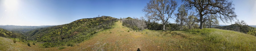 Near the top of Hartman Trail
