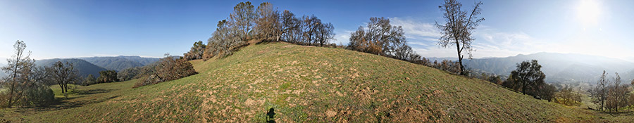 Oak grassland near the bottom of Jackass Trail (Site 1)