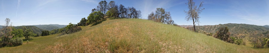 Oak grassland near the bottom of Jackass Trail (Site 1)