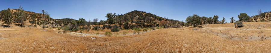 On the East Fork Near Water Gulch