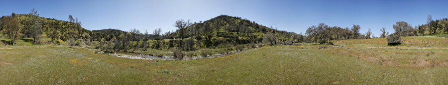 On the East Fork Near Water Gulch