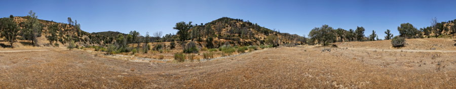 On the East Fork Near Water Gulch