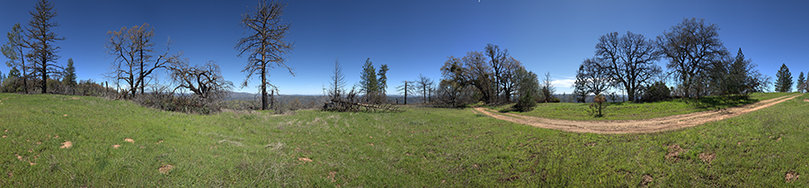 A Safety Zone On Blue Ridge Road