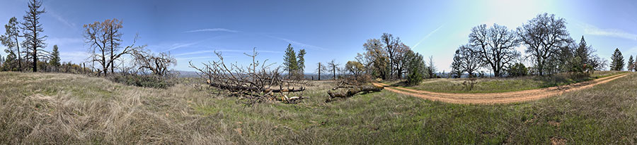 A Safety Zone On Blue Ridge Road