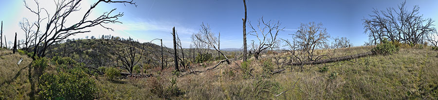 Jackass Trail Near Blue Ridge Road