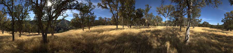 Oak Grassland Above Red Creek