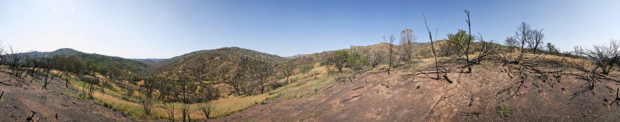 Along Ridge North Of Robison Creek