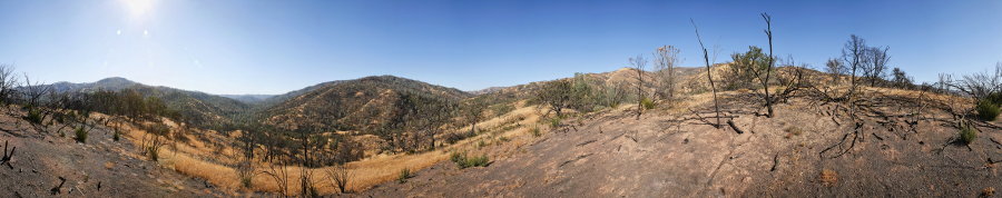 Along Ridge North Of Robison Creek