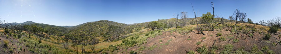 Along Ridge North Of Robison Creek