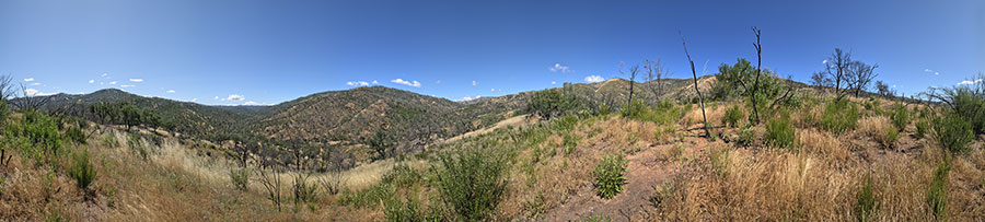 Along Ridge North Of Robison Creek