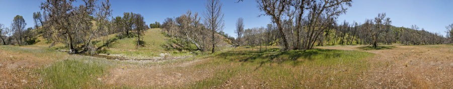Robison Creek Trail