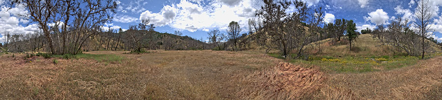 Robison Creek Trail