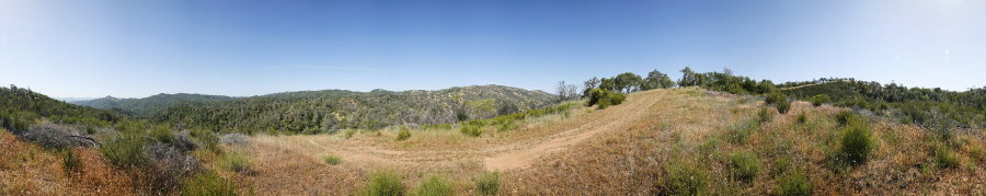 Fuel Break On Center Flats Road