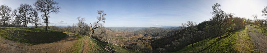 Wagon Road Above Pacheco Creek