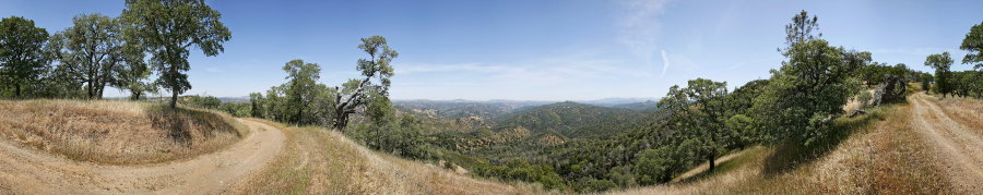 Wagon Road Above Pacheco Creek