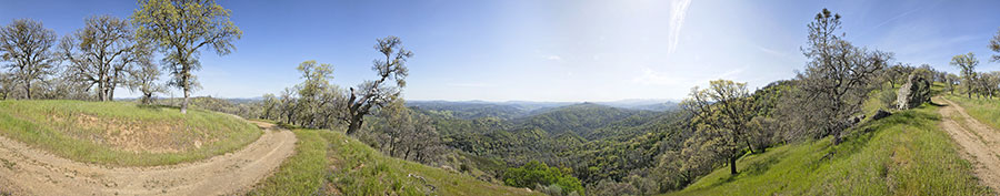 Wagon Road Above Pacheco Creek