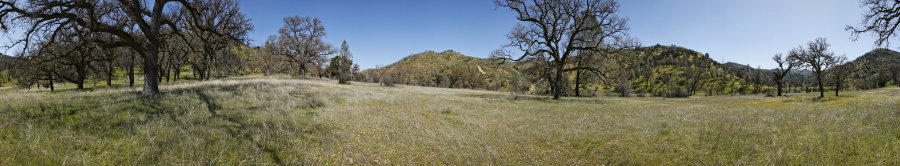 Along The East Fork Of The Coyote Creek 