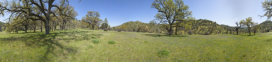 Along The East Fork Of The Coyote Creek