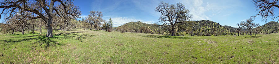 Along The East Fork Of The Coyote Creek