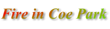 coe fire logo